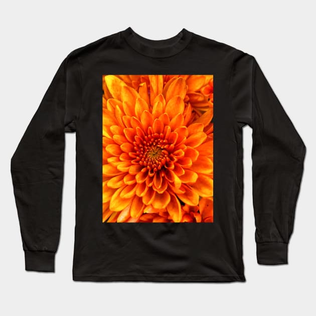 Gerbera daisy Long Sleeve T-Shirt by Mabocoh